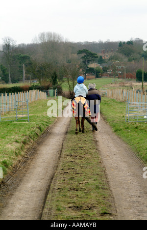 Pferde &amp; Reiten Stockfoto