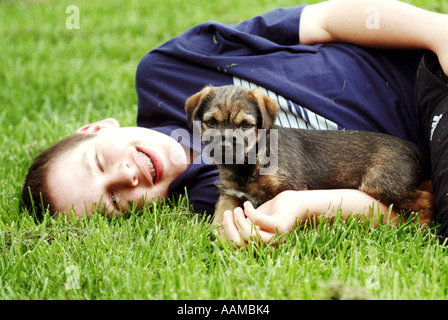 Unsere Welpen Stockfoto