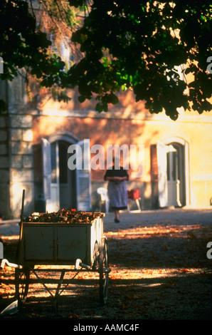 La Cacciata Inn in der Nähe von Orvieto Umbrien Italien Stockfoto