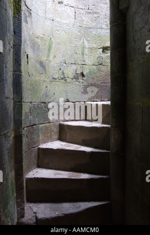 Steinstufen führen zu den Dungeons Pevensey Castle in East Sussex Stockfoto