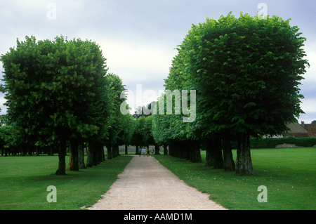 CHAMBORD LOIR ET CHER FRANKREICH GEHWEG ZWISCHEN BÄUME IM PARK VON SCHLOSS Stockfoto