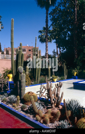 Marjorelle Garden Marrakesch, Marokko (im Besitz von Yves Saint Laurent) Stockfoto