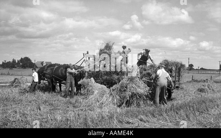 1920S 1930S MÄNNER BELASTUNG HEU ZU PFERD ZURÜCK & WAGEN HEUERNTE ERNTE LANDWIRTSCHAFT ARBEIT ARBEITNEHMER JUNGE PFERDE HALTEN Stockfoto