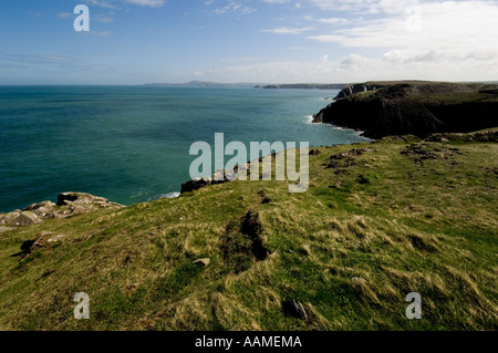 Blick nach Norden von Porthgain entlang der Pembrokeshire Küstenweg, Pembrokeshire West Wales UK Stockfoto
