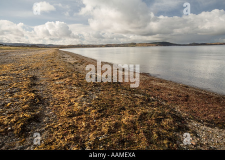 UK Schottland Argyll Oban Ledaig Nordstrand Stockfoto