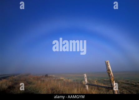 NEBEL RAINBOW KLAMATH MARSH NWR Stockfoto