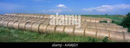 RUNDE HEUBALLEN VERPACKT IN PLASTIK WESTLICH VON FAIRPORT / MISSOURI Stockfoto