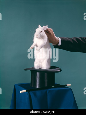 MAGIER ZIEHEN KANINCHEN AUS DEM HUT ZAUBERSTAB TRICK Stockfoto