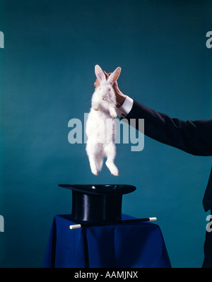 HAND DES ZAUBERERS ZIEHEN WEIßE KANINCHEN AUS SCHWARZEN ZYLINDERHUT TRICK TRICKS MAGIE MAGIER RETRO VINTAGE UNTERHALTUNG Stockfoto