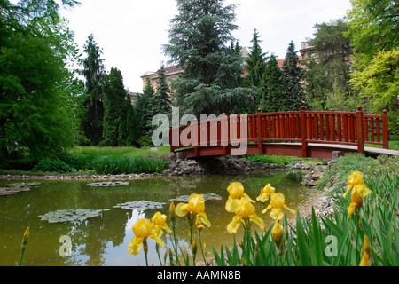 Botanische Gärten Zagreb Kroatien Hrvatska Stockfoto