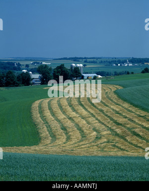 LUZERNEHEU EINGEHÜLLT WISCONSIN Stockfoto