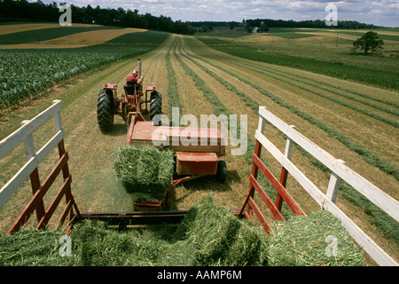 BALLENPRESSEN ALFALFA-PENNSYLVANIA Stockfoto