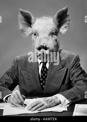 1970ER JAHREN MONTAGE VON SCHWEIN GELEITET GESCHÄFTSMANN IM ANZUG AM SCHREIBTISCH Stockfoto