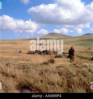 Das Disney King Arthur Filmset, Crew, Schauspieler in der Usk Valley Landschaft in der Nähe von Llanddeusant Brecon Beacons National Park Wales UK 2004 KATHY DEWITT Stockfoto