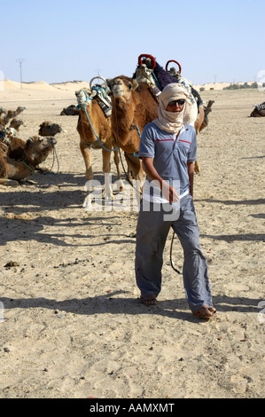 Mrazig Kamel zart führt Gruppe von Kamelen für touristische Reise in die Sahara-Wüste in Douz Tunesien verwendet werden Stockfoto