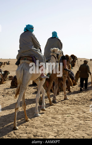 vertikale Touristen auf Kamel zurück reisen Sie in die Sahara-Wüste in Douz Tunesien Stockfoto