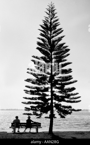 1970ER JAHREN REAR VIEW SILHOUETTE ÄLTERES EHEPAAR SITZT AUF DER BANK AM SEE UNTER KIEFER Stockfoto