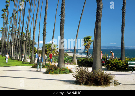 Abschnitt von Santa Monica bluffs mit seinen Palmen wie auf einem sehr feinen Wintertag zu sehen Stockfoto