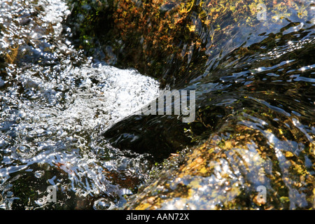 Miniatur-Wasserfall auf dem Fluss Dart in Devon, England Stockfoto