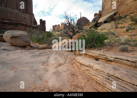 Flusserosion. Park Avenue (hoch aufragenden Sandstein flossen steigenden 150-300 Fuß). Arches Nationalpark. Utah. USA Stockfoto