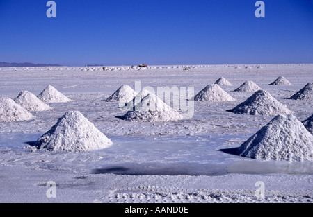 Salz, Salar de Uyuni, Bolivien Altiplano Ernte Stockfoto