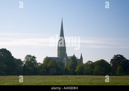 Kathedrale von Salisbury aus ganz Harnham Strandwiesen Wiltshire England Stockfoto