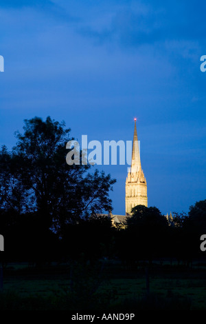 Salisbury Kathedrale Spire beleuchtet bei Nacht Wiltshire England Stockfoto