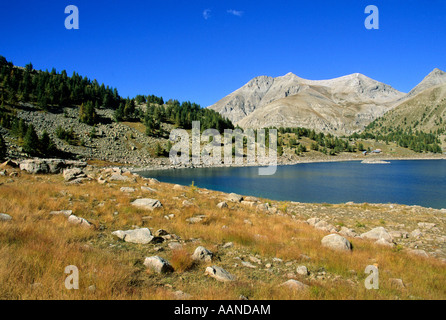 Allos See, Alpes de Haute Provence, Frankreich, Europa Stockfoto