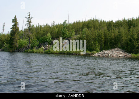 Beaver Lodge Stockfoto