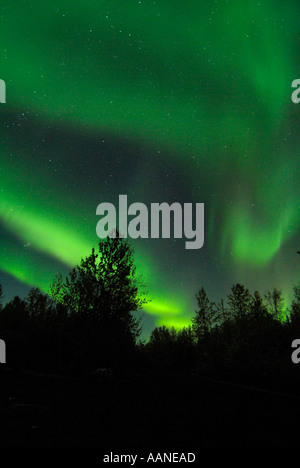 Nordlicht, gesehen vom Ingenieur Creek Campingplatz, Dempster Highway, Yukon, Kanada Stockfoto