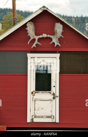 Elch Geweih über der Tür der Kabine, Dawson City, Yukon, Kanada