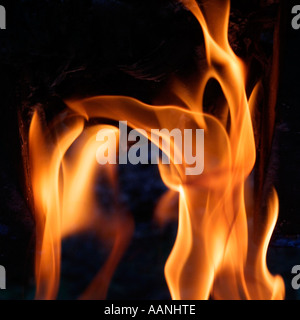 Flammen des Feuers an kurze Verschlusszeit erfasst Stockfoto