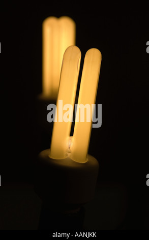 Zwei Energiesparlampen Licht im Kandelaber leichte Montage Stockfoto