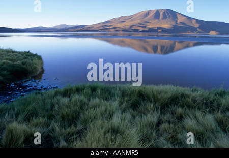 Laguna Colorada, National Park Eduardo Avaroa, Bolivien Stockfoto