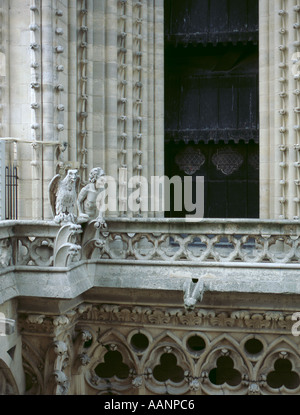 Wasserspeier auf den Türmen der Kathedrale Notre Dame, Ile-de-la-Cité, Paris, Frankreich. Stockfoto