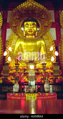 Gold Buddha-Statue in sechs Banyan Bäume buddhistische Tempel Guangzhou China Stockfoto