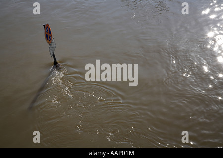 Fluss Elbe Überschwemmung, überfluteten Verkehrsschild, Deutschland, Sachsen, Dresden Stockfoto