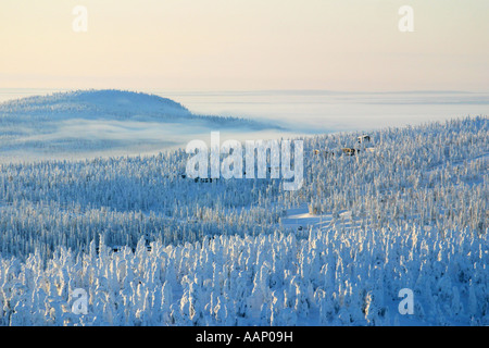 Winterlandschaft bei Dämmerung, Finnland, Oulu, Kuusamo Stockfoto
