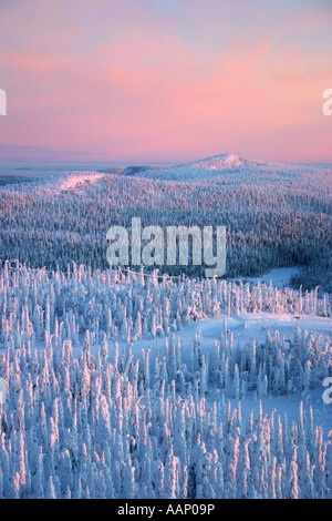 Winterlandschaft bei Dämmerung, Finnland, Oulu, Kuusamo Stockfoto