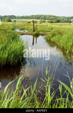 Entwässerungsgraben in Combe Haven Valley SSSI zwischen Bexhill und Hastings East Sussex England UK Großbritannien Europa Stockfoto