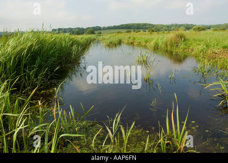 Entwässerungsgraben in Combe Haven Valley SSSI zwischen Bexhill und Hastings East Sussex England UK Großbritannien Stockfoto