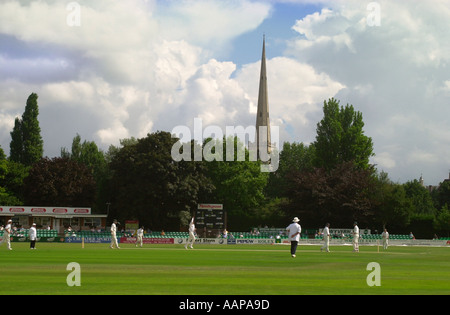 CRICKET IM BODEN DER GRAFSCHAFT WORCESTERSHIRE UK Stockfoto