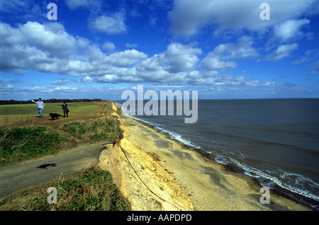 Küstenerosion bei Covehithe in Suffolk, die Großbritannien sein soll ist die Küste erodiert. Stockfoto