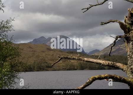 Blick durch Bäume über Loch Clair in Richtung der schottischen Berge Gipfelns (1054m) Stockfoto