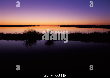 Kalifornien, Solano County, Montezuma Slough, Grizzly Insel Stockfoto