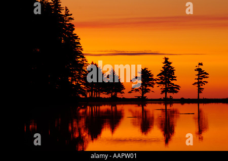 Kodiak, Alaska, Sonnenaufgang, Fort Abercrombie State Historical Park Stockfoto