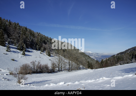 Frankreich-Lans En Vercors Snowy Feld und Tal Stockfoto