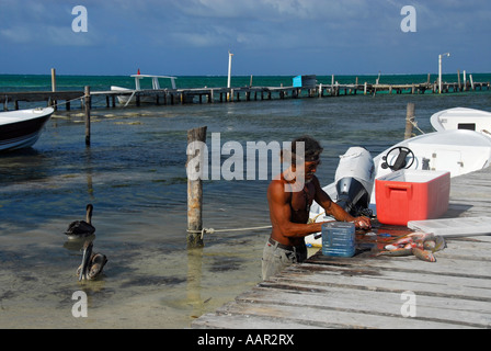Fischer entlädt Fisch auf Caye Caulker, The Northern District Cayes, Belize, Belize, Mittelamerika Stockfoto