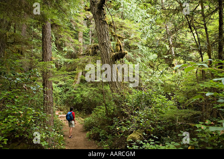 Fuß auf Wanderweg durch Küstenregenwald gemischte Westliche Hemlocktanne Tsuga Heterophylla und Kiefer Vancouver Island Kanada Stockfoto