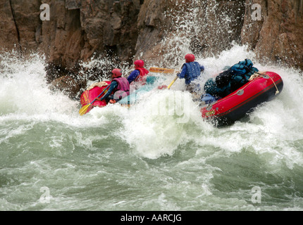 Sparren trotzen die Klasse 8 Gewässer des Granit RAPID eines der größten auf dem COLORADO GRAND CANYON NATIONAL PARK ARIZONA MR Stockfoto